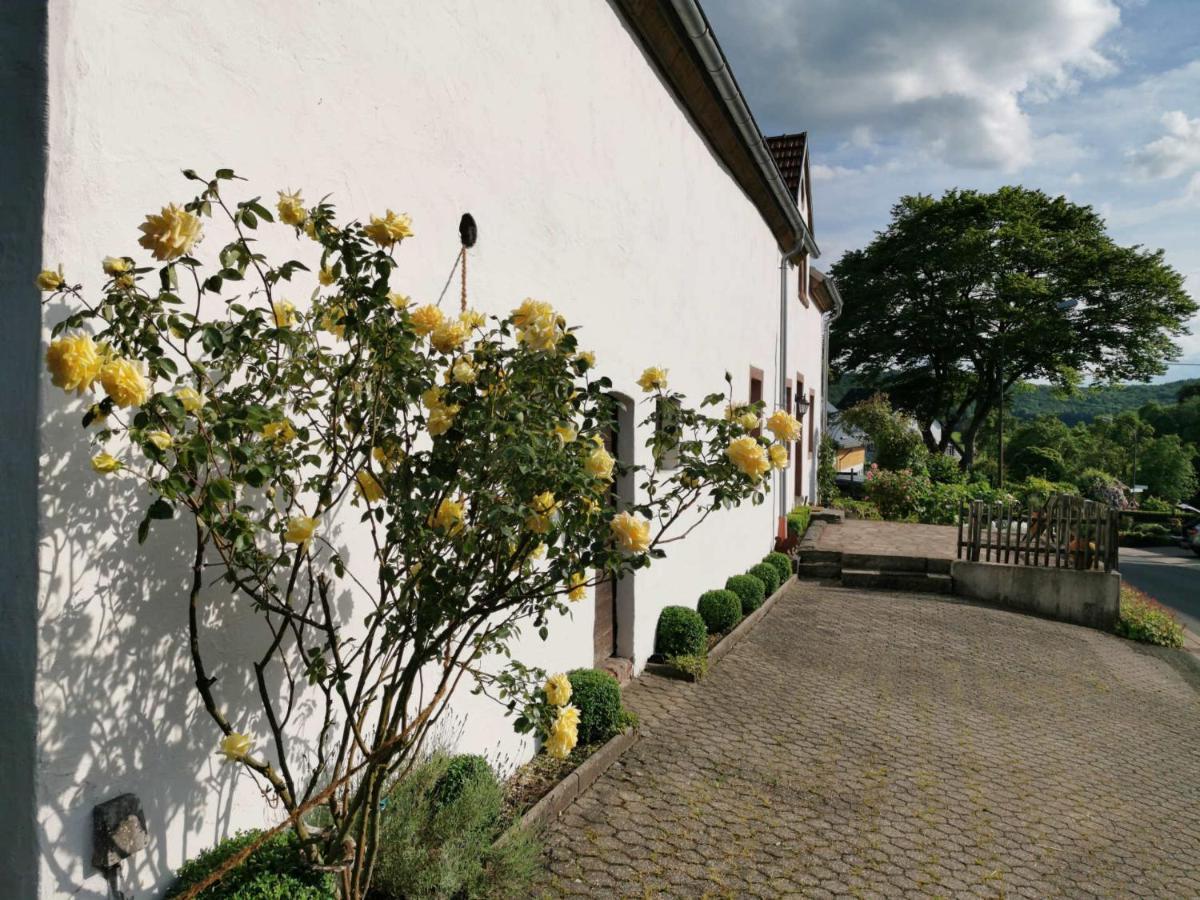 Ferienhaus Vulkaneifel Landhaus Loogh Kerpen  Εξωτερικό φωτογραφία