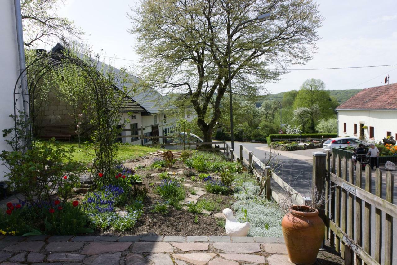 Ferienhaus Vulkaneifel Landhaus Loogh Kerpen  Εξωτερικό φωτογραφία