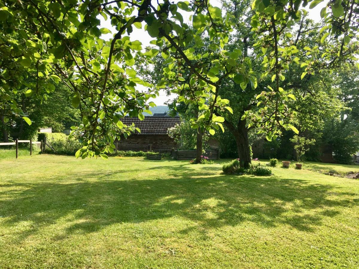 Ferienhaus Vulkaneifel Landhaus Loogh Kerpen  Εξωτερικό φωτογραφία