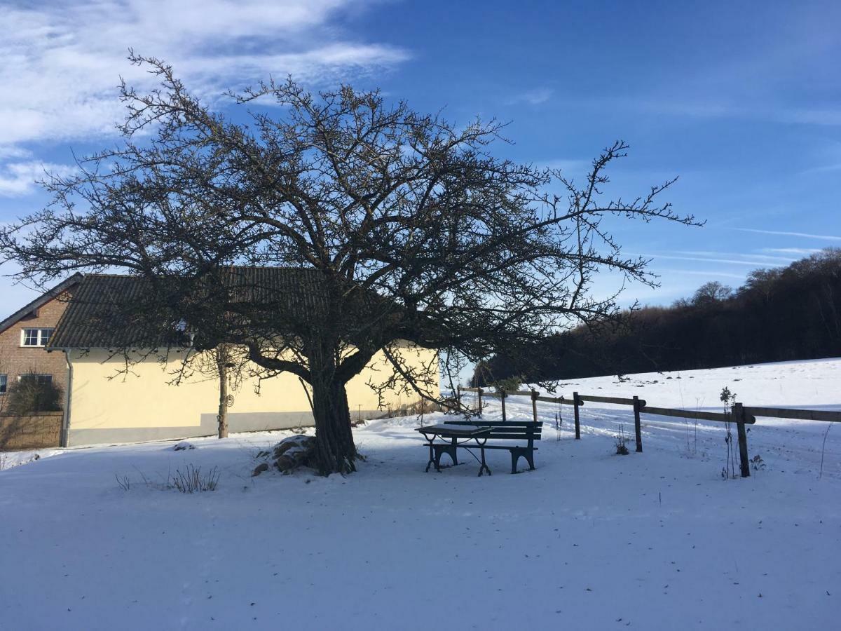Ferienhaus Vulkaneifel Landhaus Loogh Kerpen  Εξωτερικό φωτογραφία